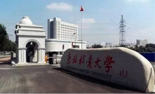 <font color='#339900'>东北林业大学</font>