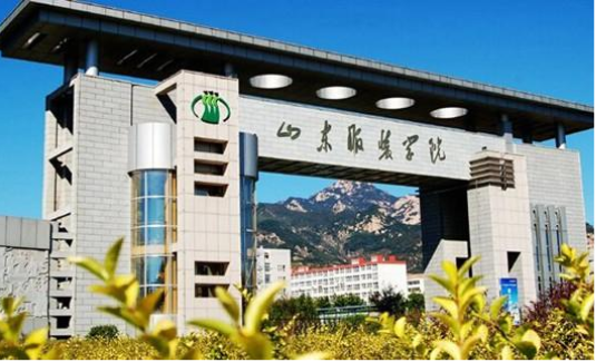 <font color='#FF0000'>山东服装职业学院</font>
