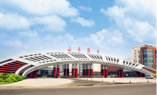 <font color='#333333'>山东医学高等专科学院</font>