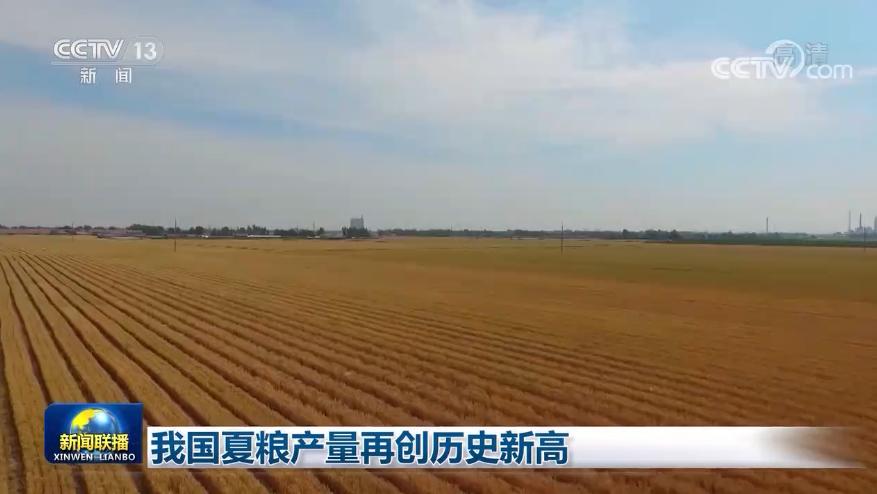 夏粮产量再创历史新高
