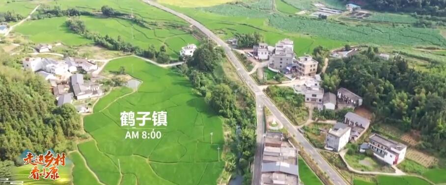 走进乡村看小康 | 产业+电商 农产品跑出加速度