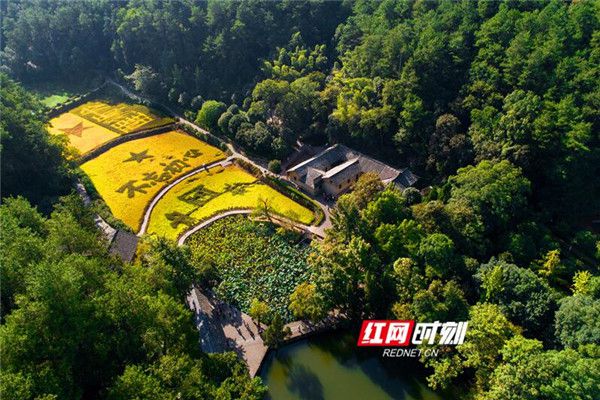 湖南除张家界以外全域低风险 景区场馆有序开放