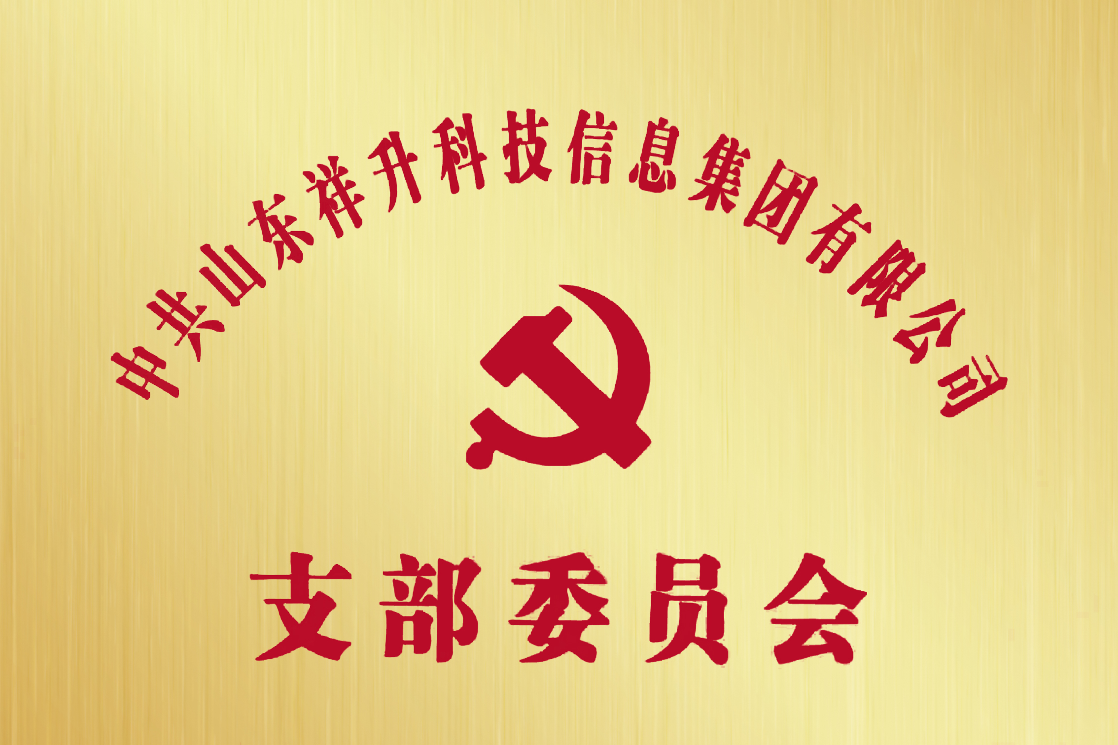 成立党支部委员会