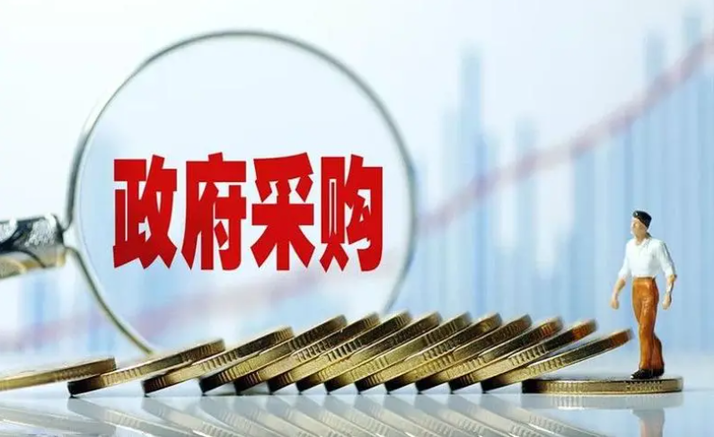 <b>政府采购代理</b>