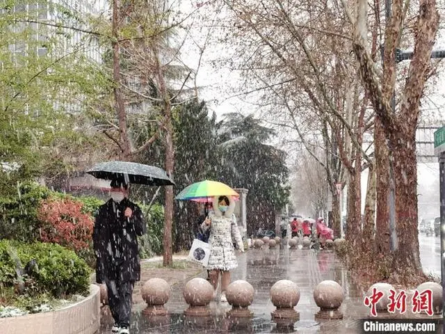 河南多地飘“桃花雪” 三门峡等地暴雪蓝色预警
