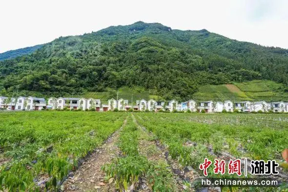 湖北竹溪：盘活“闲置”资产 焕发乡村振兴“新”活力